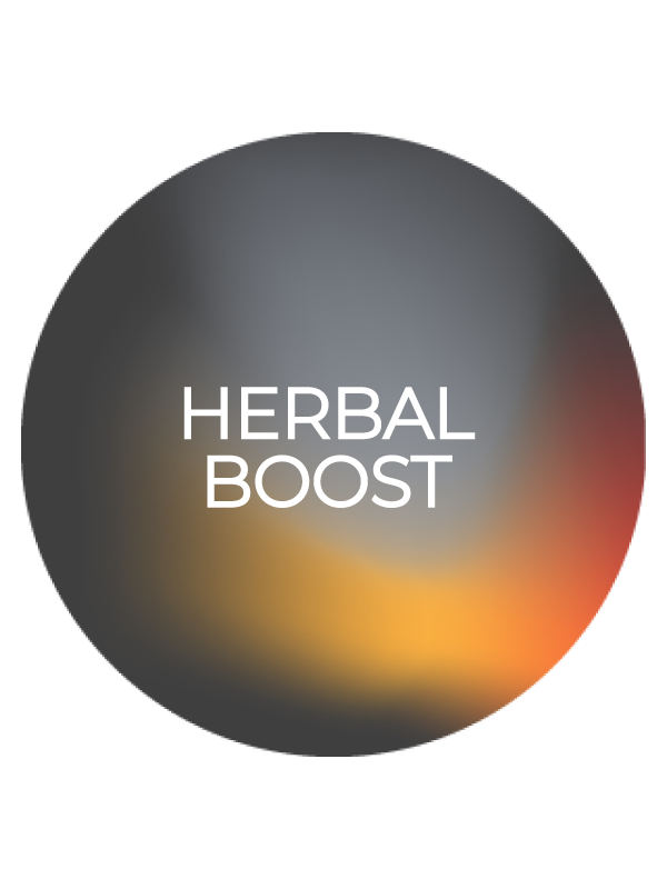 รีฟิลยาดม กลิ่น เฮอร์เบิลบูส (Herbal Boost)